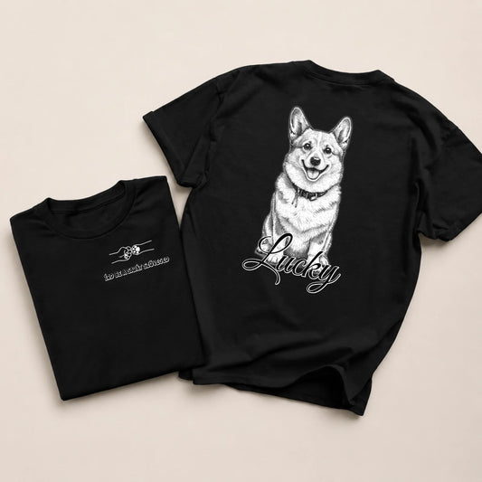 sfsf