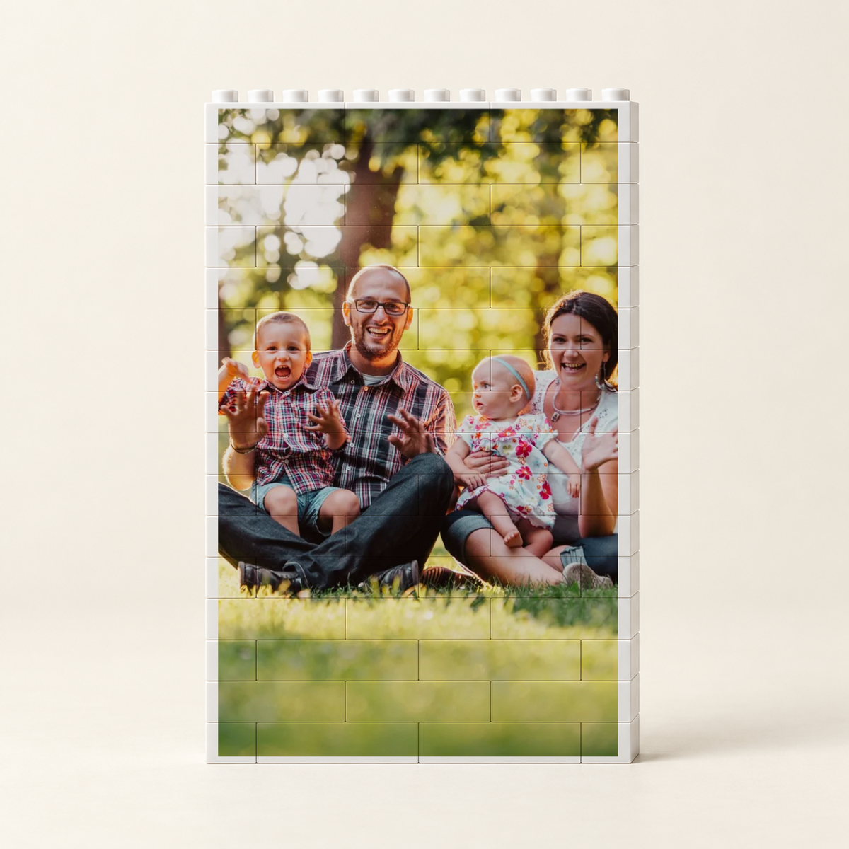 Személyre szabott építőkockák fényképpel #424427 [PC-MOCKUP:cmuto66rw001spfycgue4fxaq:7d81481622c9a527a21517ba:7d81481622c9a527a21517bae1b64af810d10be196bb4c07edeff1ab51d3b23d]